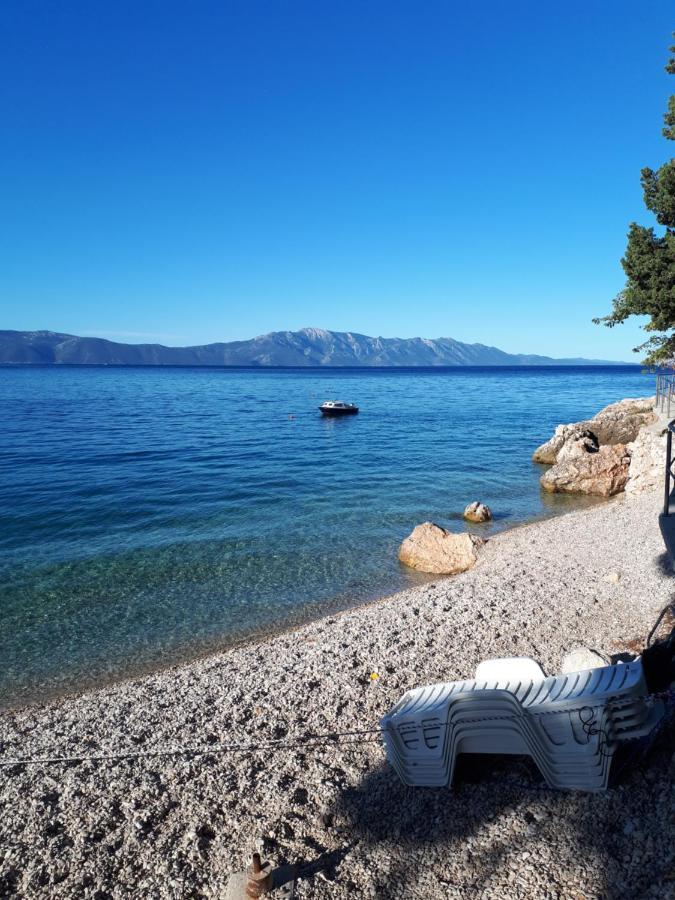 Falcon Guest house 3*