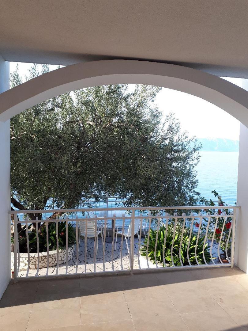 Guest house Falcon 3*