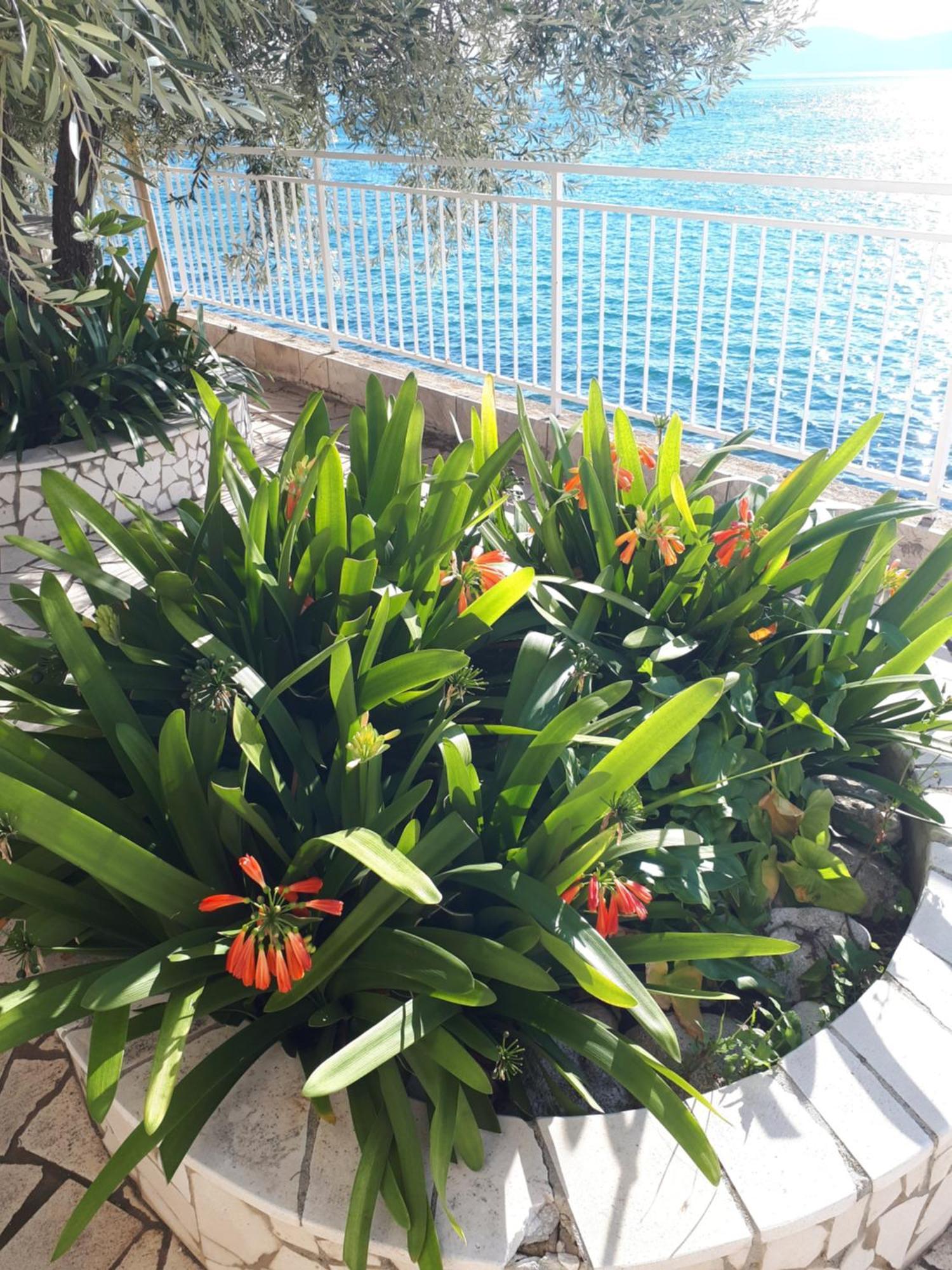 Falcon Guest house 3*