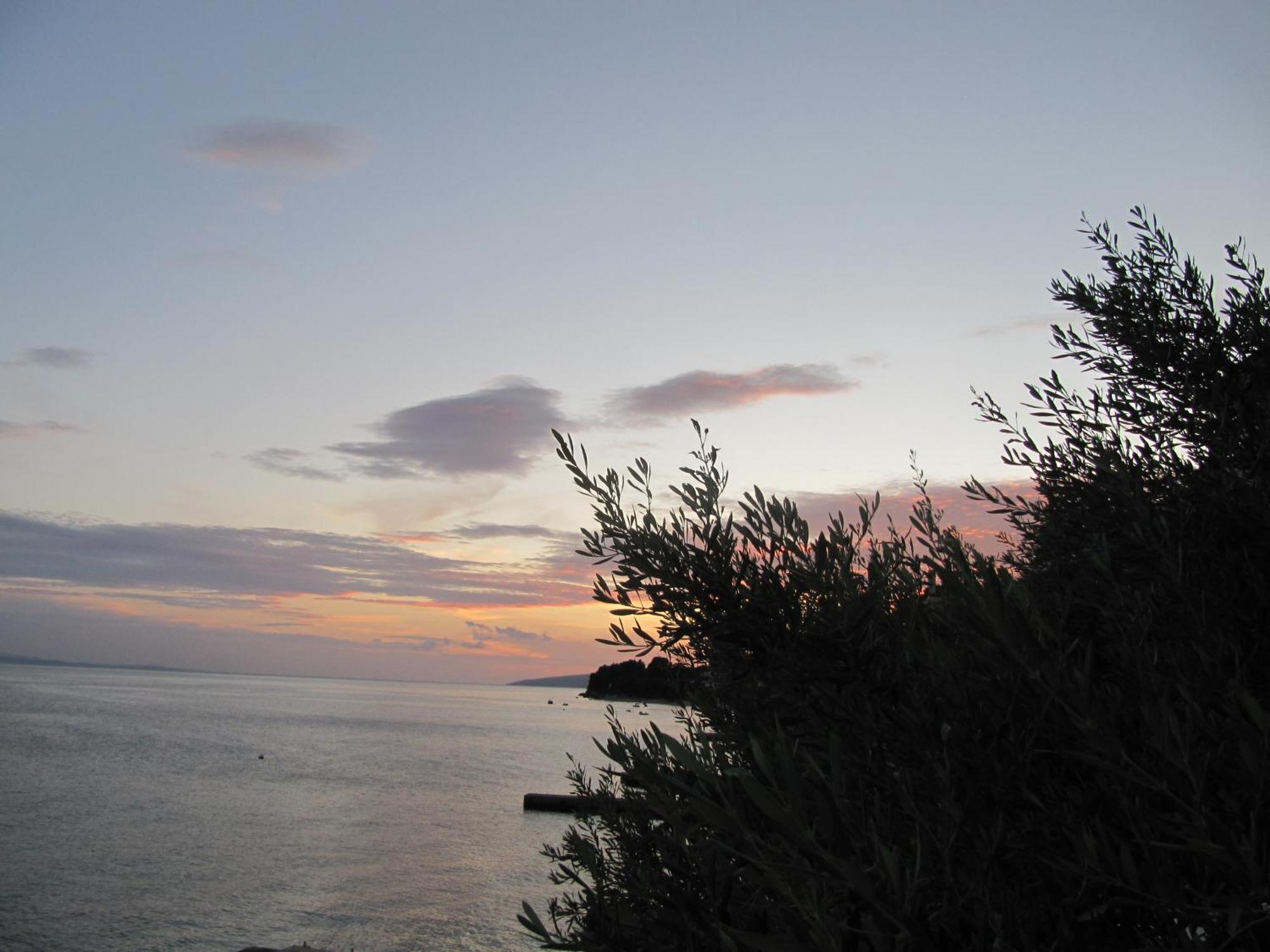 Guest house Falcon 3*
