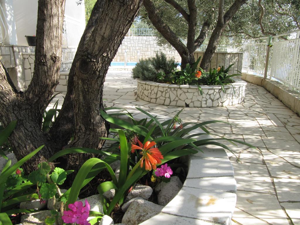 Falcon Guest house 3*